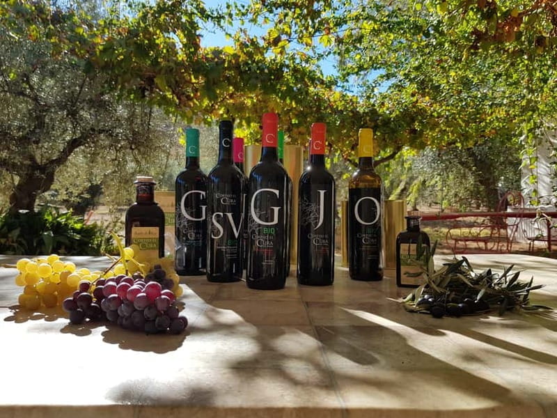 Almería: Wine tour and aperitif from La Alpujarra in Winery - Who Is This Tour Best For?