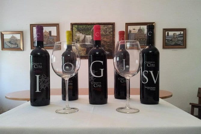 Almería Wine tour and tasting in English in Bio Winery - Key points / Takeaways