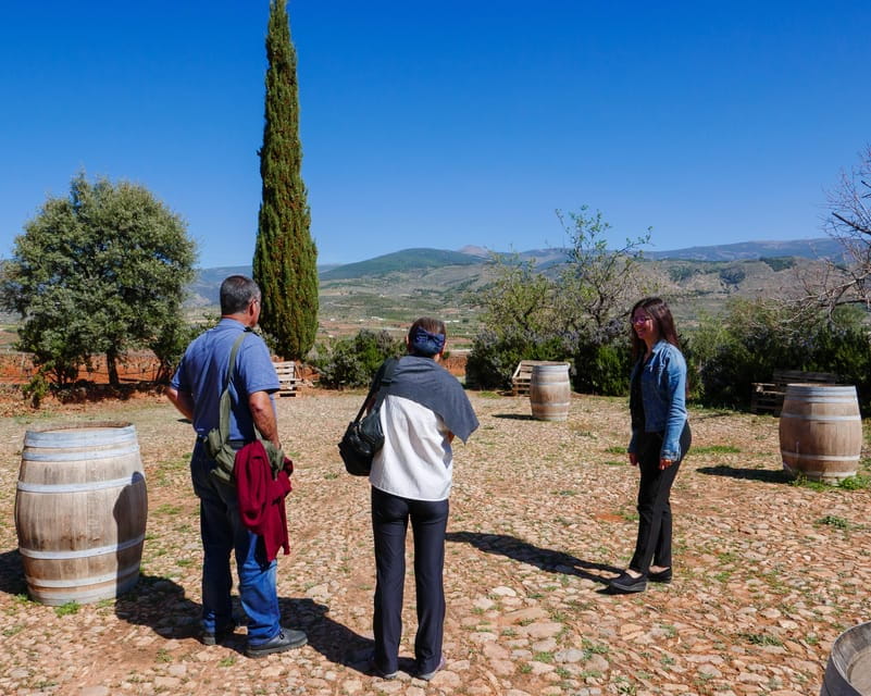 Almería: Wine Tour and Tasting in Organic Winery - Itinerary and Activities