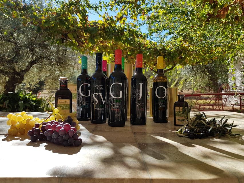 Almería: Wine Tour and Tasting in Organic Winery - Sustainable Winemaking Practices