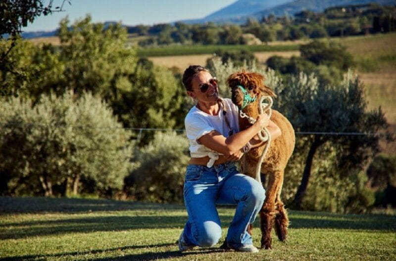 Alpaca Trek in Valdichiana Senese - Who Should Consider This Tour?