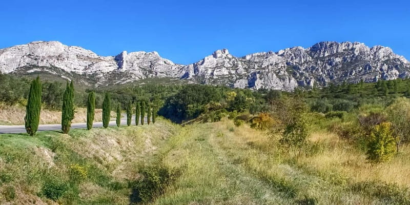 Alpilles: Discover wine estates and farms by electric bike - Key Points / Takeaways
