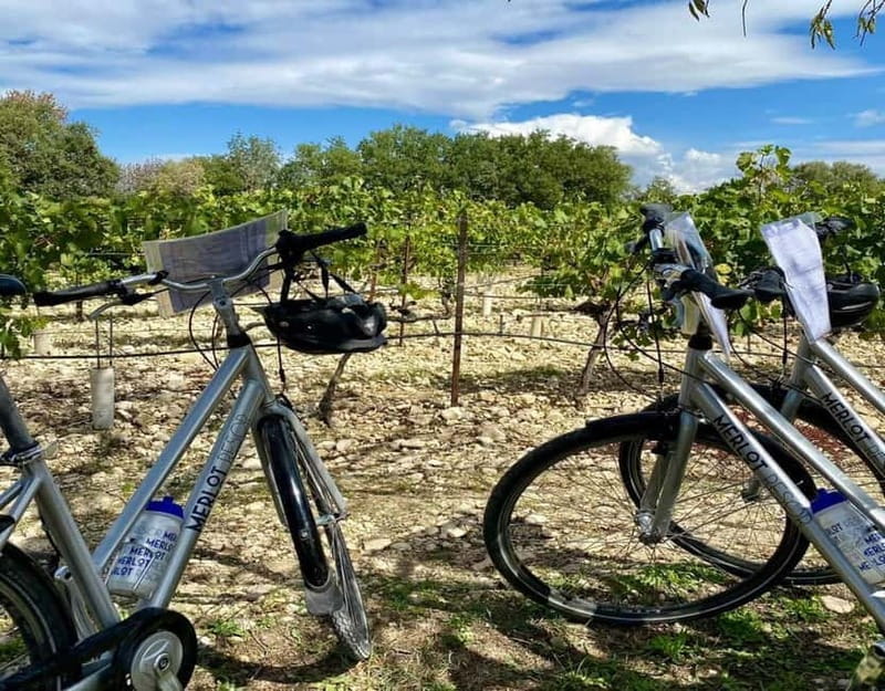 Alpilles: Discover wine estates and farms by electric bike - Scenic Cycling and Cultural Stops