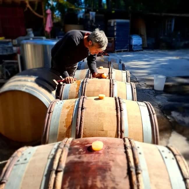 Alpilles: Discover wine estates and farms by electric bike - The Sum Up: Authentic, Enjoyable, and Eco-Friendly