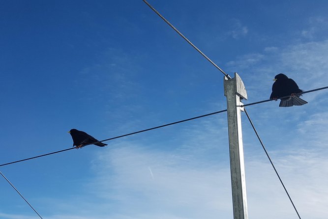 Alpine Majesty: From Interlaken to Jungfraujoch Private Tour - Customizing the Tour Route