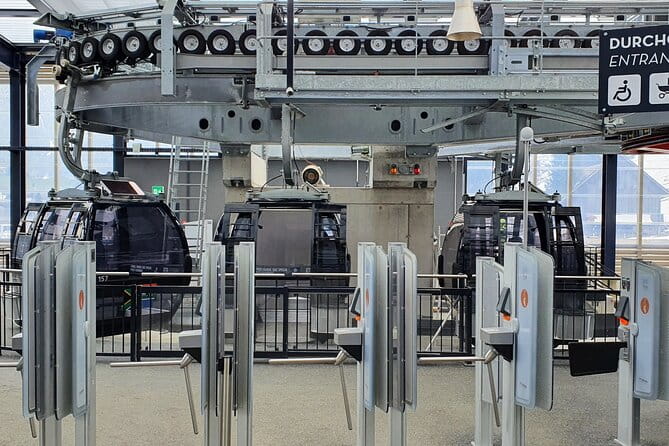 Alpine Majesty:Exclusive Private Tour to Mount Titlis from Basel - Final Thoughts on the Private Mount Titlis Experience