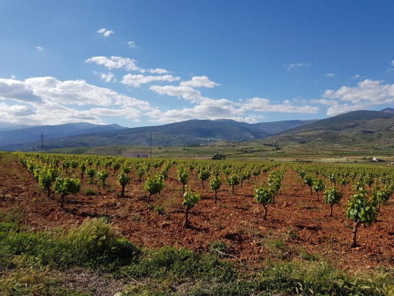 Alpujarra of Almería: Organic Wine tour and local aperitif - Who Should Consider This Tour?