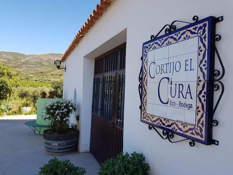 Alpujarra of Almería: Organic Wine tour and local aperitif - The Sum Up