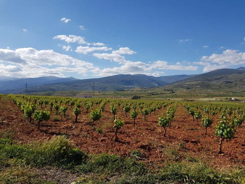 Alpujarra of Almería: Organic Wine tour and local aperitif - FAQ