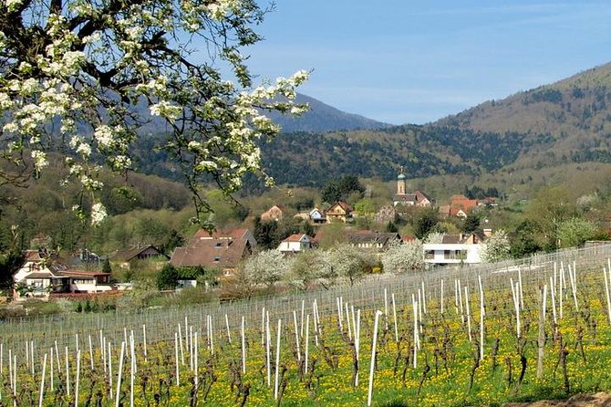 Alsace 4 Wonders Small-Group Day Trip From Colmar - Included in the Tour