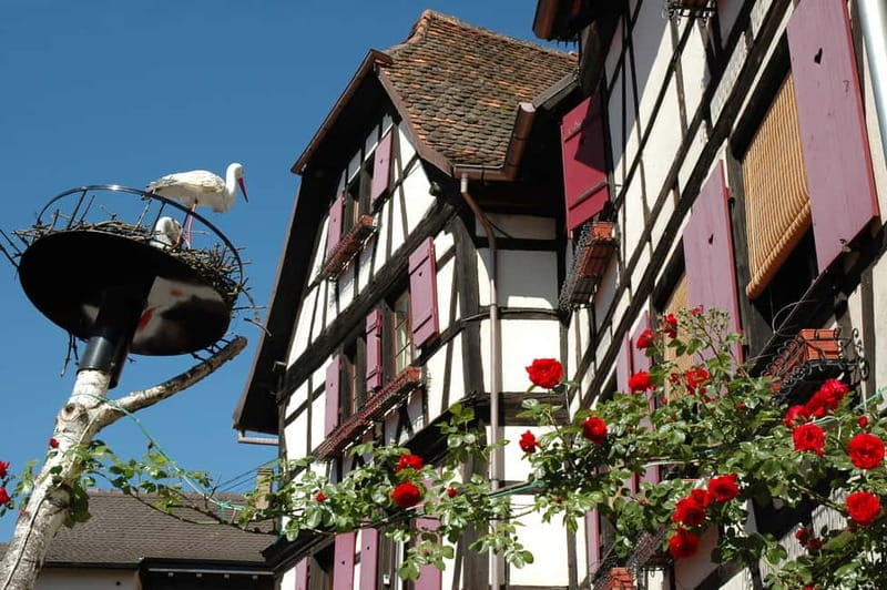 Alsace Half-Day Wine Tour from Strasbourg - Discovering the Alsace Wine Region: A Practical Guide