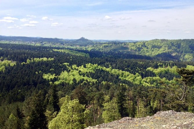 Alsace Tour : Wine Tasting, Villages & Castle Visits With Friendly Tesla Driver - Logistics