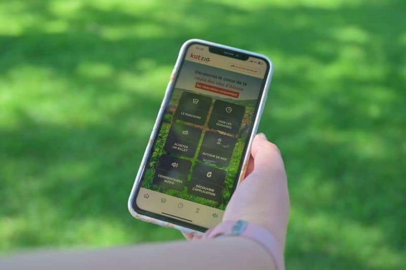 Alsace Wine Route: multi-stop convertible bus tour - The Value Proposition: Is It Worth It?