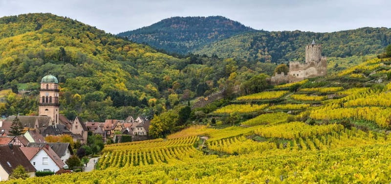 Alsace Wine Route: multi-stop convertible bus tour - FAQs
