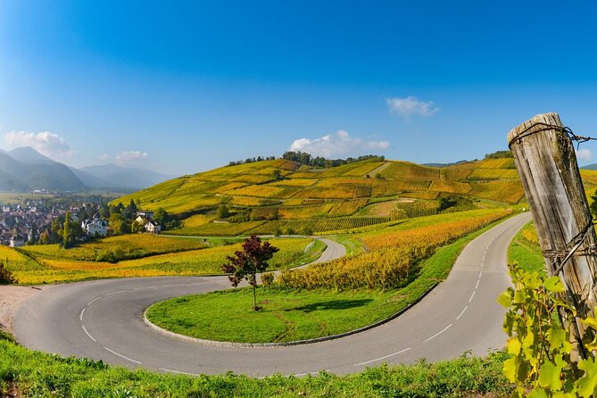 Alsace Wine Route Small Group Half-Day Tour With Tasting From Strasbourg - Group Size and Age Requirement