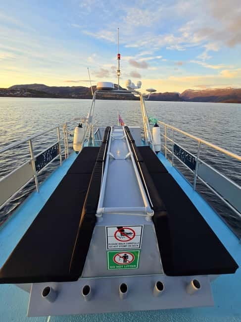 Alta Fjord: Private Sunset Boat Tour - The Experience Provider: Icecube of Aurora