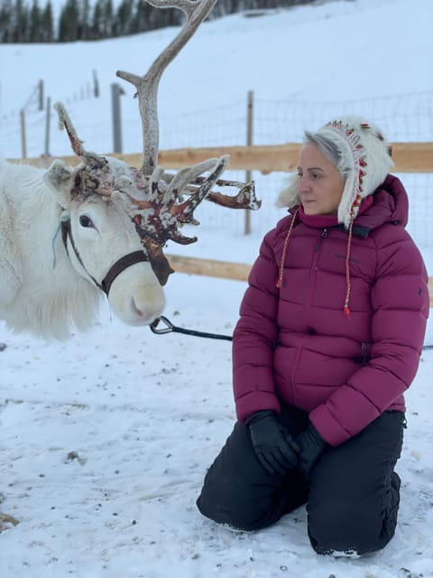 Alta: Sami Cultural experience - Lavvu - Reindeers - Key points / Takeaways