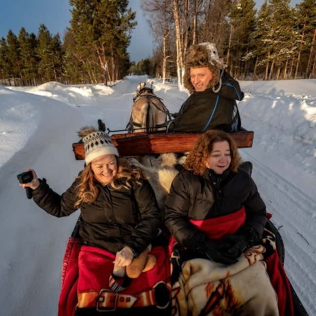 Alta: Sleigh or wagon Ride in the Arctic Countryside - A Deep Dive into the Alta Sleigh Ride Experience