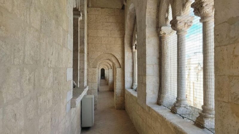 Altamura private tour: the town of bread - Who Will Love This Tour?