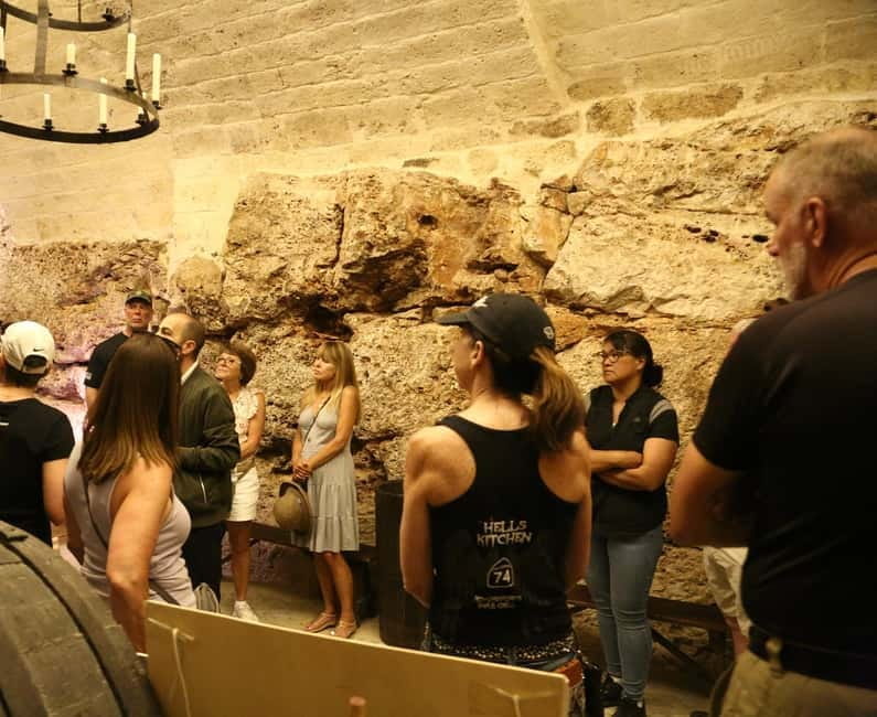 Altamura: Wine Museum Guided Tour with Tasting - Key Points / Takeaways
