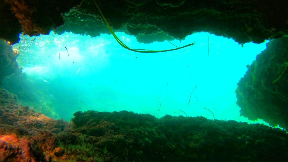 Altea: Guided Kayak Tour - Customer Feedback