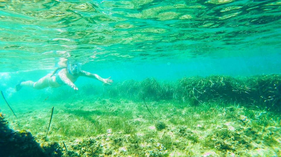 Altea: Guided Kayak Tour - Tour Policies