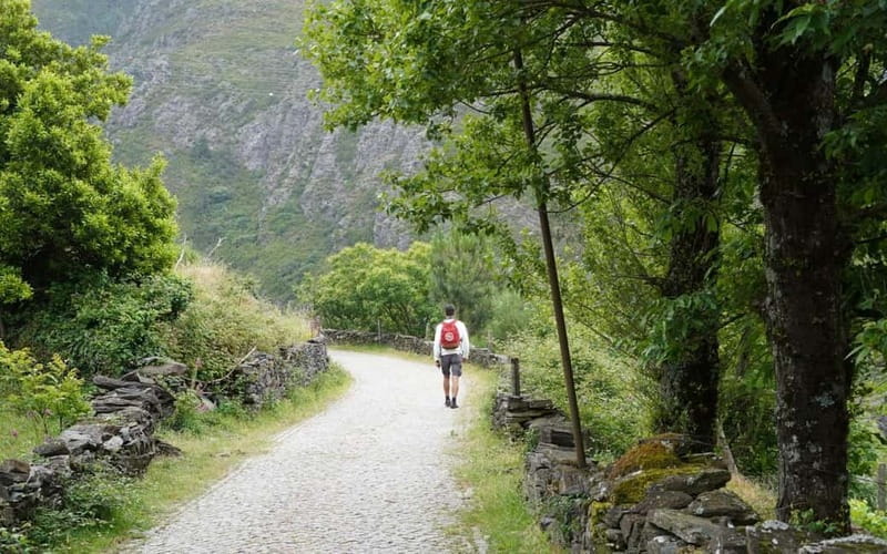 ALVÃO SHEPHERD'S HIKE - Discovering a Natural and Cultural Treasure in Portugal