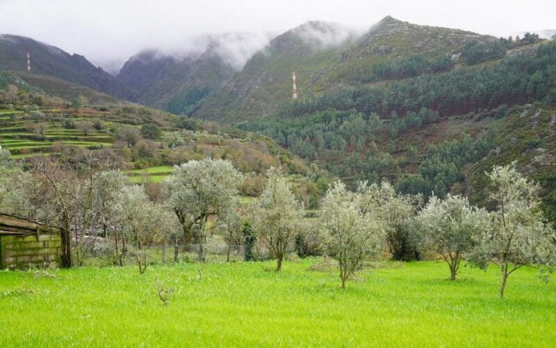 ALVÃO SHEPHERD'S HIKE - Who Will Love This Experience?