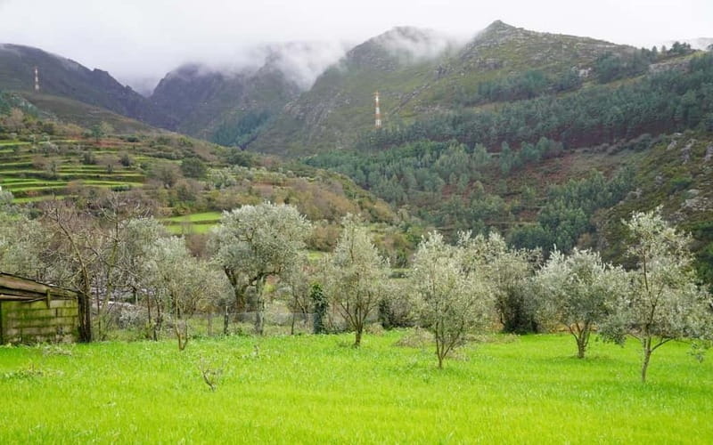 ALVÃO SHEPHERD'S HIKE - Final Thoughts: Why This Experience Matters