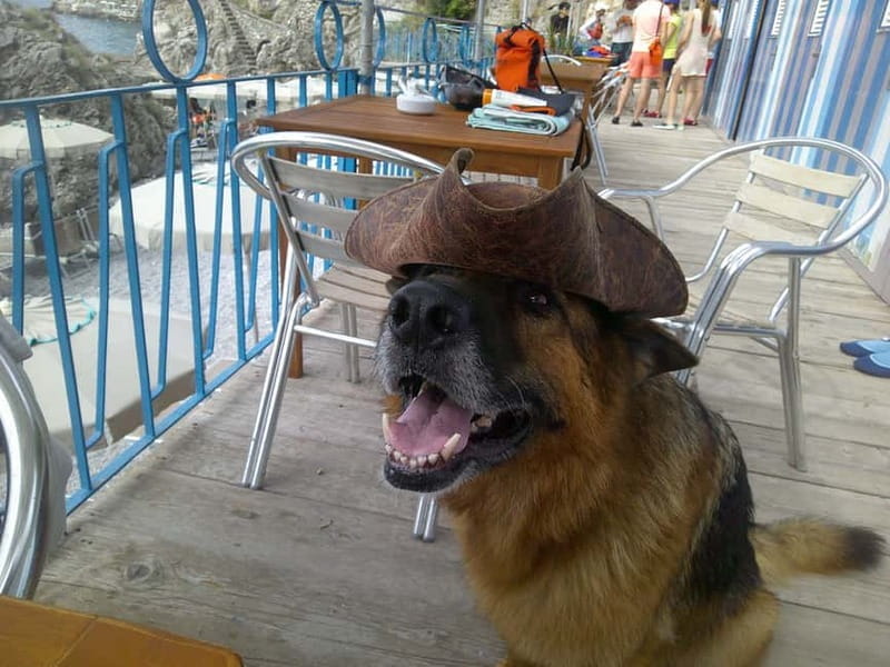 Amalfi Coast: Caves & Hidden Beach Kayak & Snorkeling Tour - FAQ