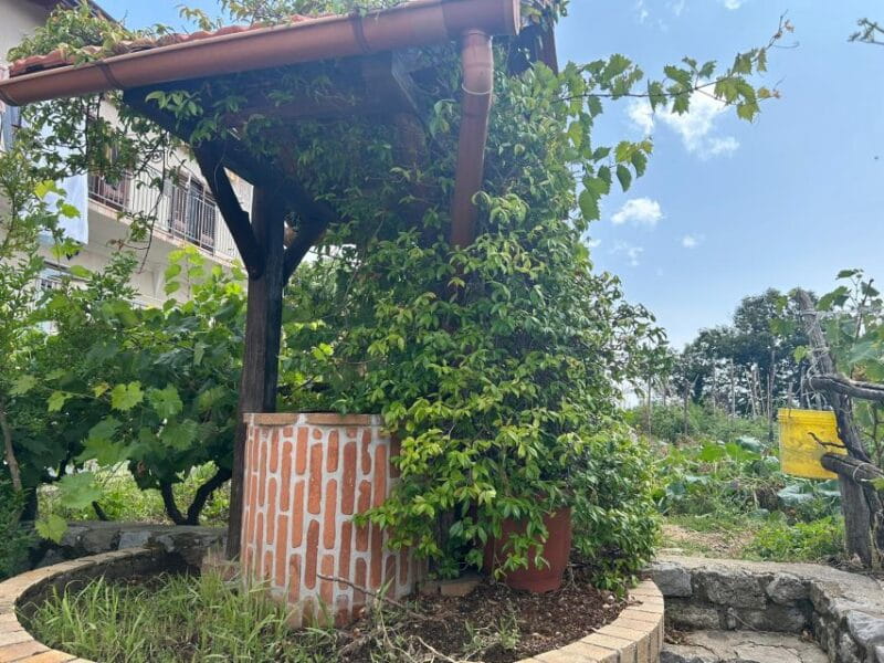 Amalfi Coast: Italian Dinner in Acampora's Farm - FAQ