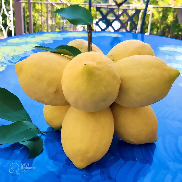 Amalfi Coast: lemon tour with tasting - Who Will Love This Experience?