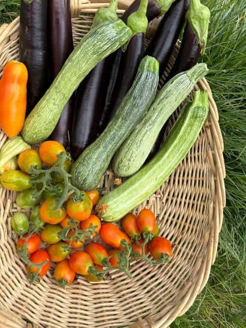 Amalfi Coast: Mozzarella, Pasta and Tiramisù Cooking Class - Price and Practical Considerations