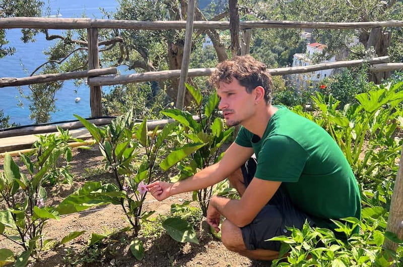 Amalfi Coast: Pizza & Mozzarella Class with Farmhouse visit - Enjoying the Fruits of Your Labor