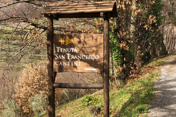 Amalfi Coast Private Tour With Amalfi Ravello and Wine Tour From Positano - Transportation