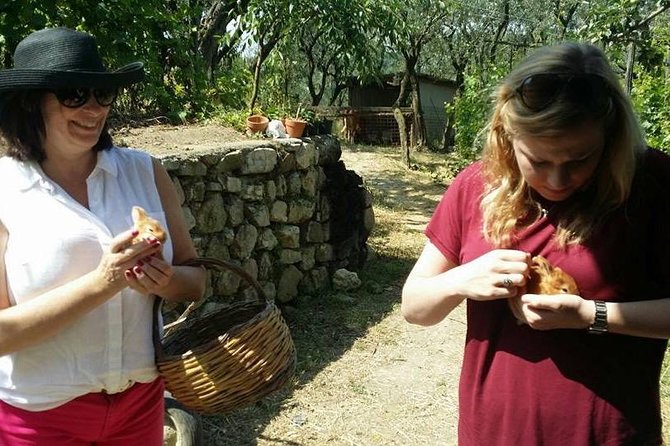 Amalfi Coast & Sorrento Cooking Class School at Farmhouse - Dietary Options