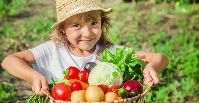 Amalfi: Cooking Class and Farmhouse Visit With Meal - The Cooking Class: Making 4 Classic Dishes