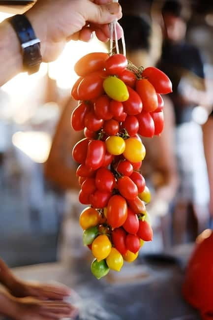 Amalfi: Grow your own vegetables and enjoy lunch with wine - Who This Tour Is Best For