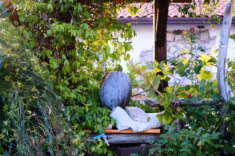 Amalfi: Grow your own vegetables and enjoy lunch with wine - Final Thoughts