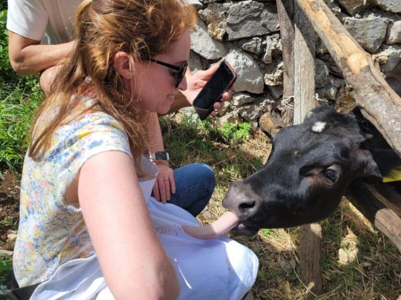 Amalfi: Make tagliatelle, mozzarella and tiramisù - Key Points / Takeaways