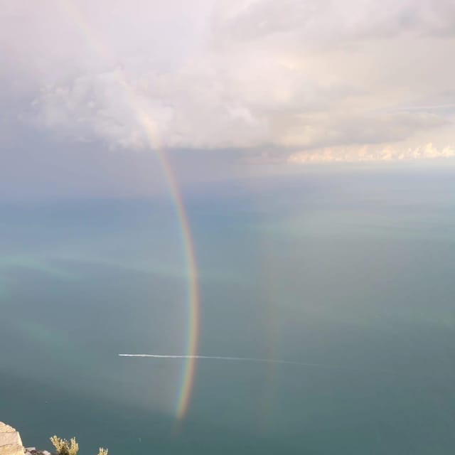 Amalfi: Make tagliatelle, mozzarella and tiramisù - The Meal and Wine: A Farm-to-Table Feast