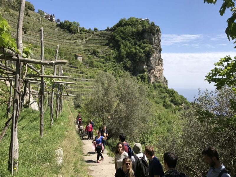 Amalfi: Walking tour between Furore vertical Vineyards - Scenic Pathways and Authentic Flavors: Walking the Furore Vineyards