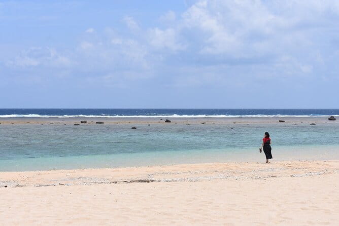 Amami Oshima Mangrove Kayaking, Waterfall and Cape Walking Tour - Kayaking Through the Mangrove Waterways