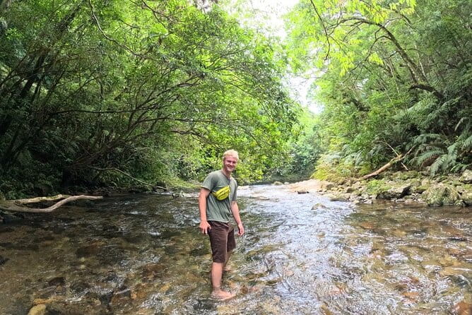 Amami Oshima Mangrove Kayaking, Waterfall and Cape Walking Tour - Discovering the Hidden Waterfall