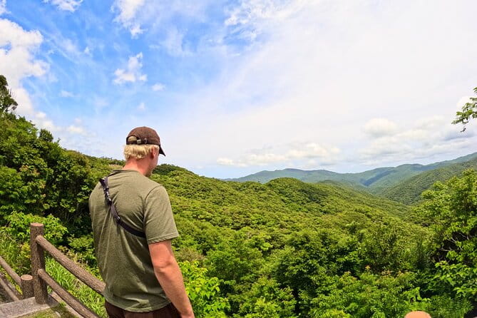 Amami Oshima Mangrove Kayaking, Waterfall and Cape Walking Tour - Trekking to the Scenic Cape
