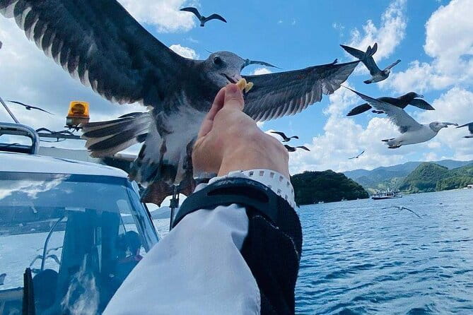 Amanohashidate & Ine Funaya Kyoto Day Trip From Osaka/ Kyoto - Additional Information