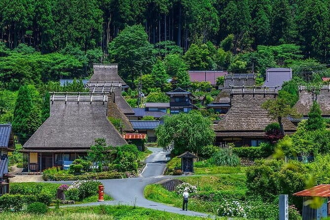 Amanohashidate, Ine Funaya & Miyam Village 1-Day Tour From Osaka - Inclusions and Accessibility Features