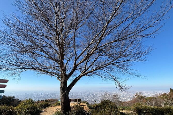 Amanohashidate, Ine Funaya & Miyam Village 1-Day Tour From Osaka - Reviews and Ratings