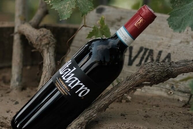 Amarone 2005 Wine Experience - Exploring the Amarone 2005 Wine Experience in Verona