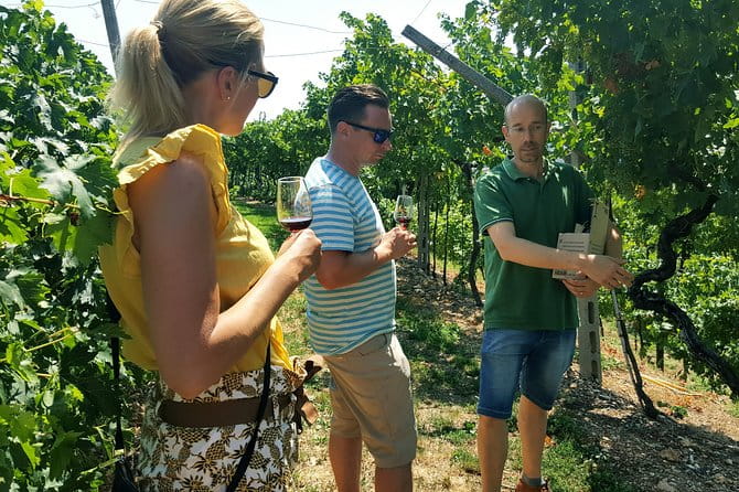 Amarone Wine Tour (all-inclusive full day with lunch and expert wine guide) - Starting the Day: Meeting in Venice and First Impressions